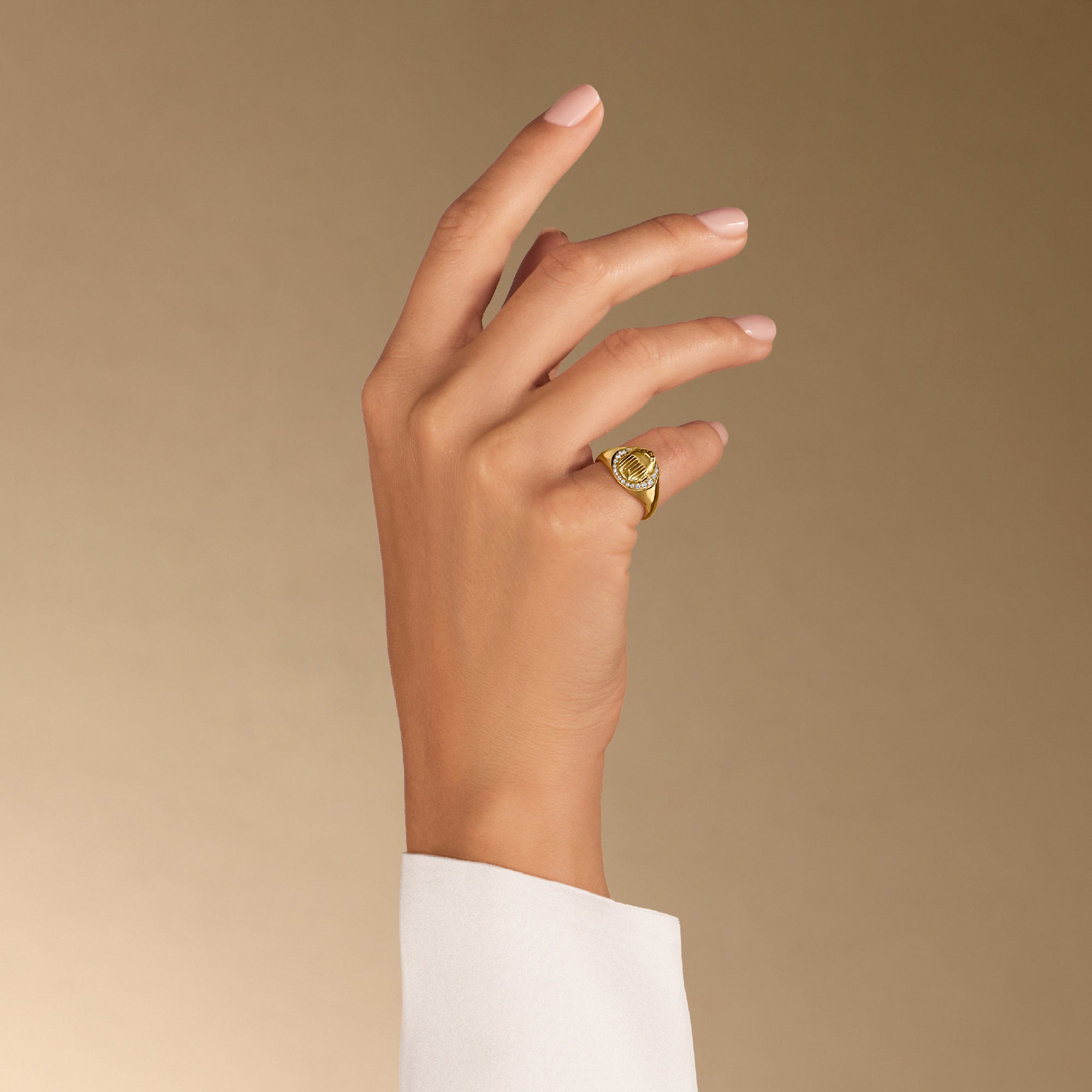 خاتم الجعران الفارس