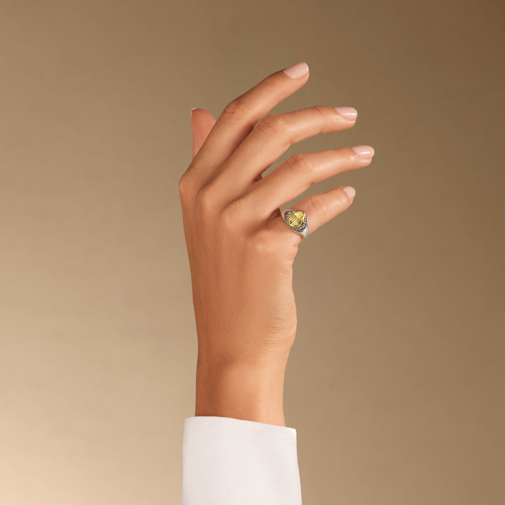 خاتم الجعران الفارس